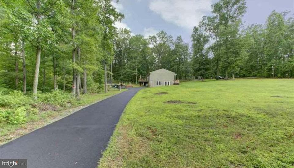 804 Chestnut Avenue photo 4
