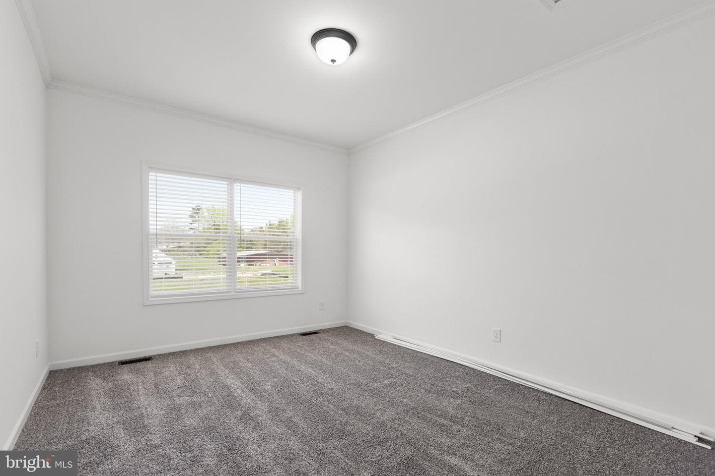 818 Mineral Avenue photo 17