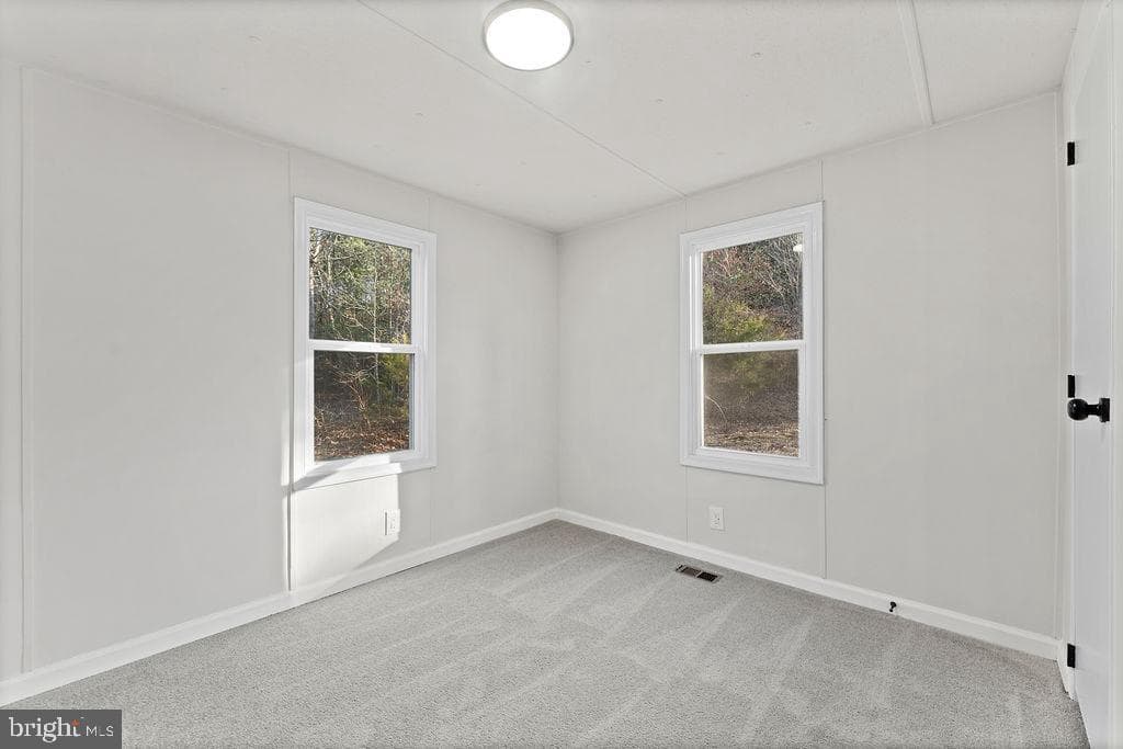 71 White Pine Lane photo 23