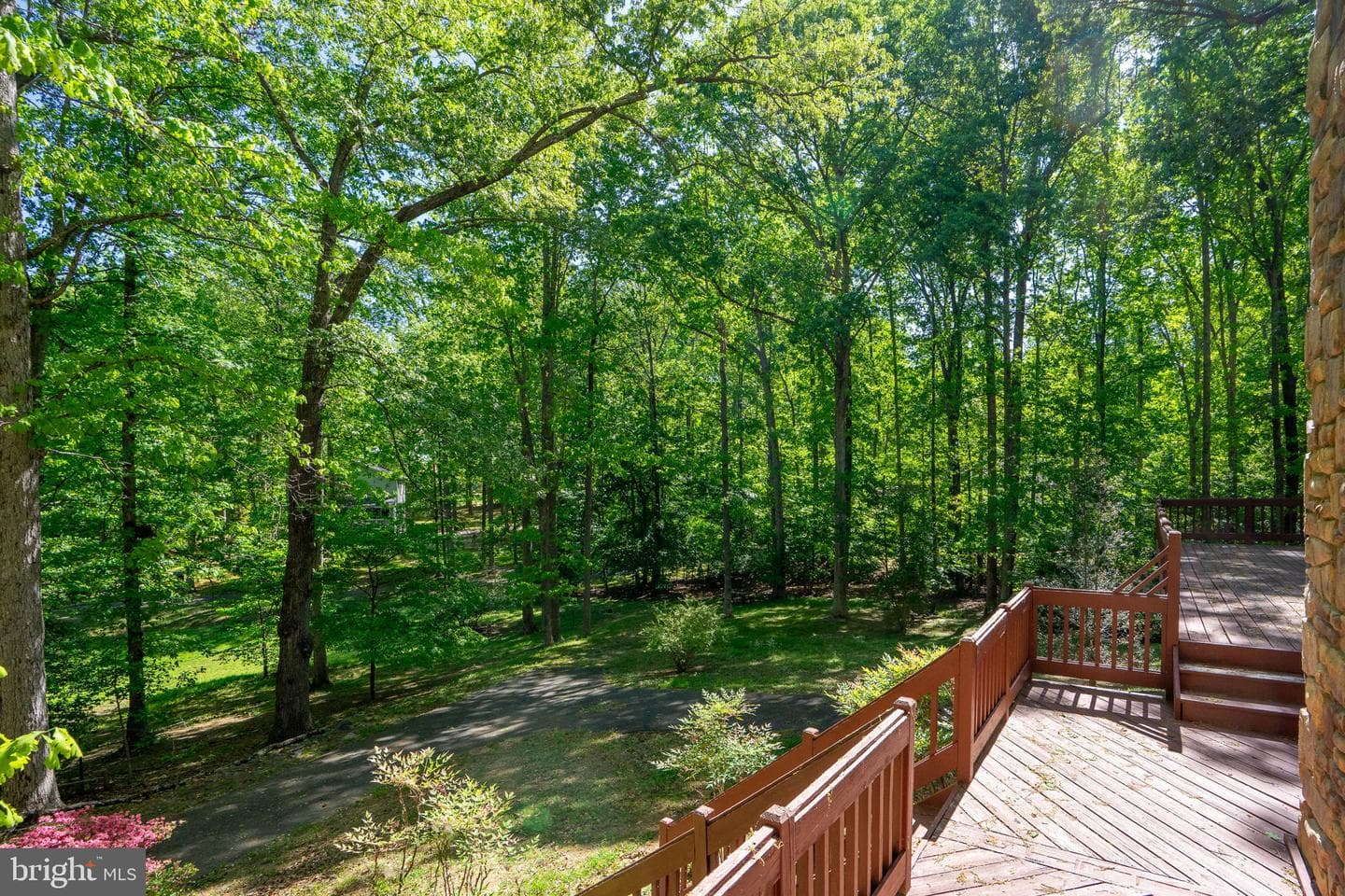54 Tara Cir photo 79