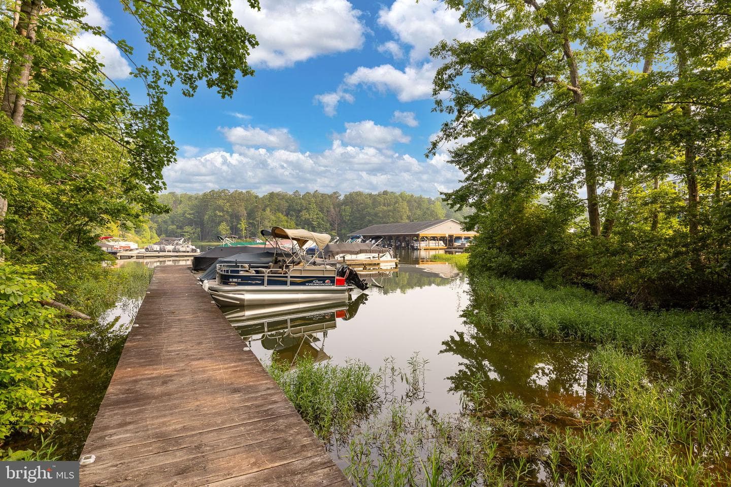 75 Mulberry Mdw photo 47