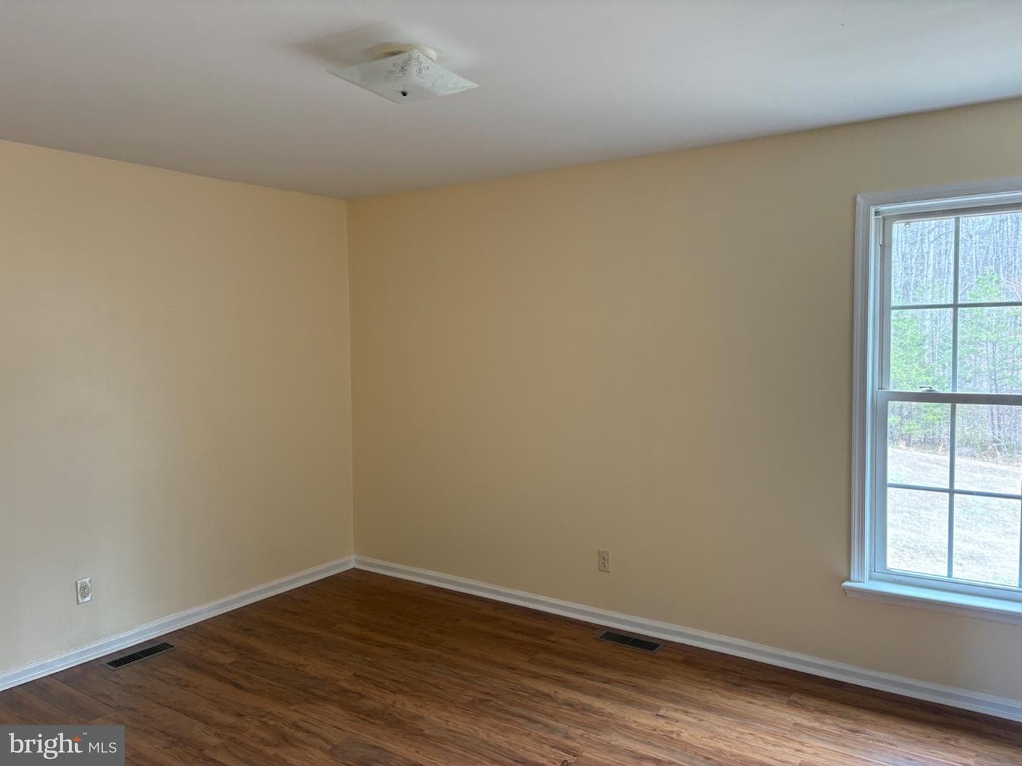 41 Elizabeth Lane photo 13
