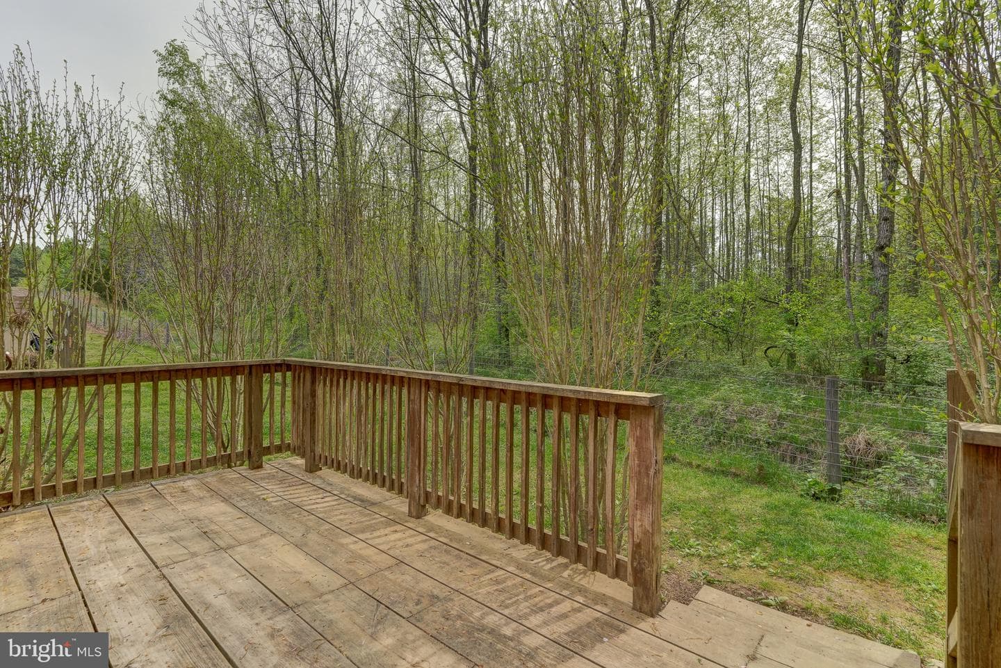 516 Apple Grove Road photo 71
