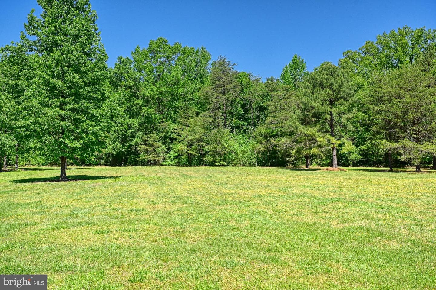 655 Bumpass Road photo 76