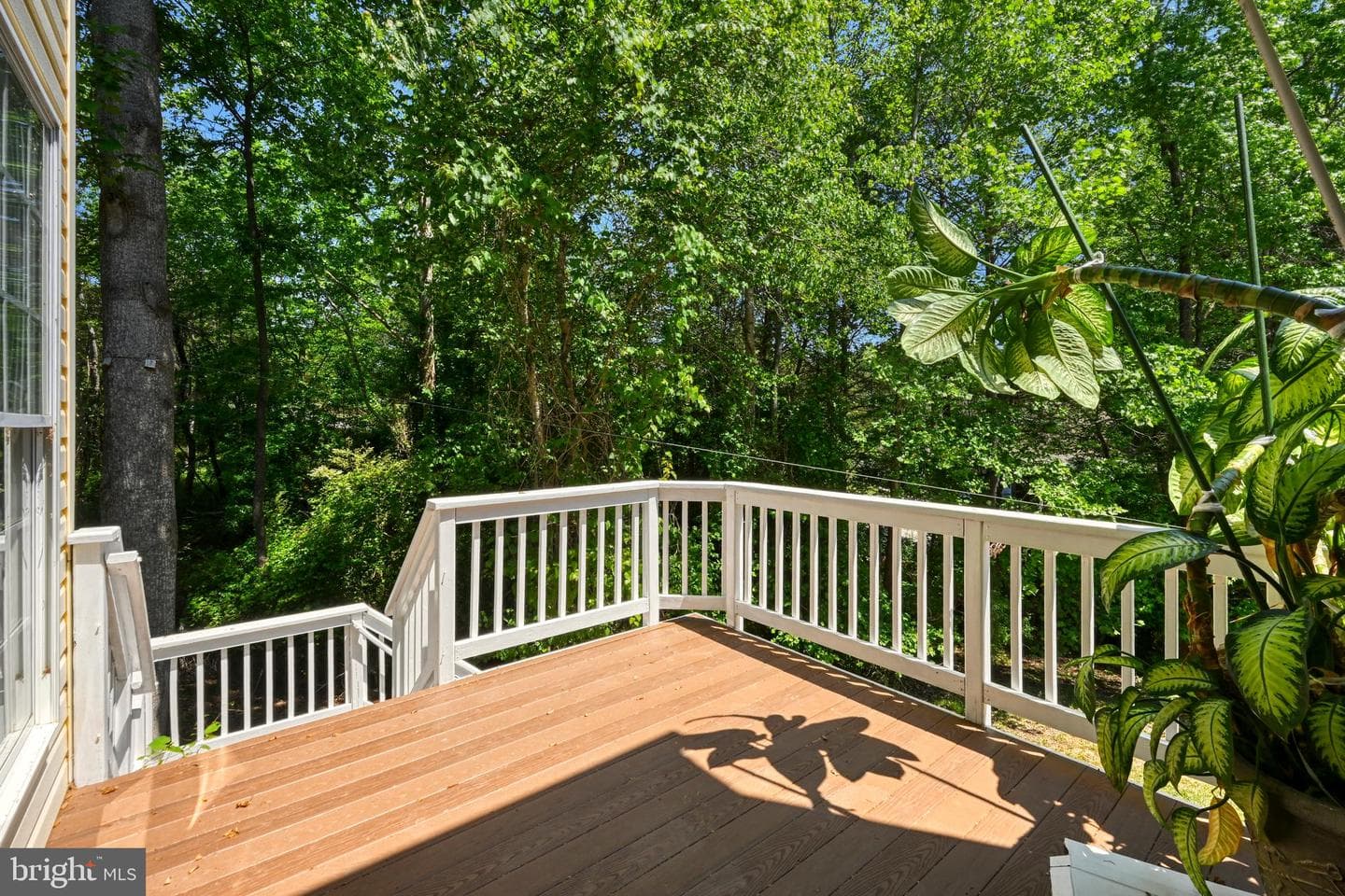 121 Brounaugh Lane photo 17