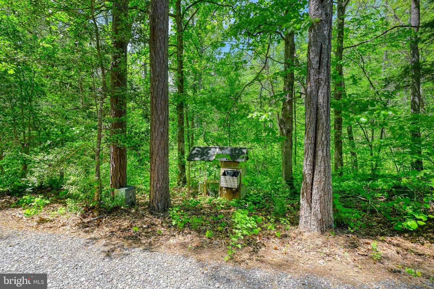 14584 Cross County Road photo 13