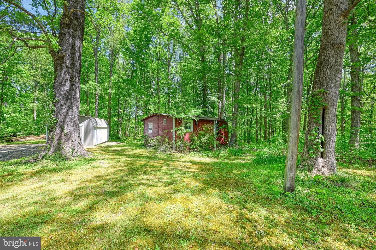 14584 Cross County Road photo 15