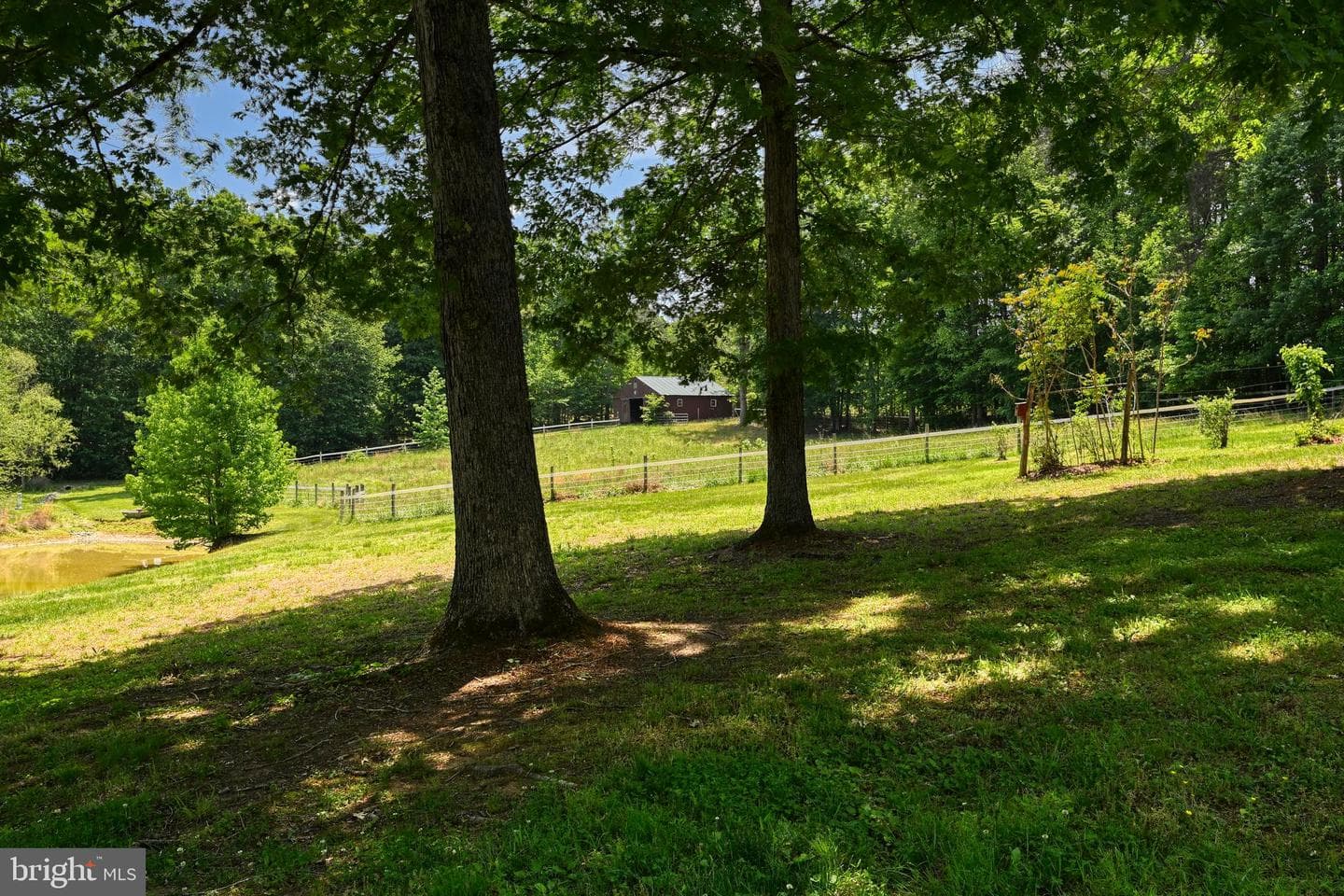 321 Willow Oak Lane photo 65