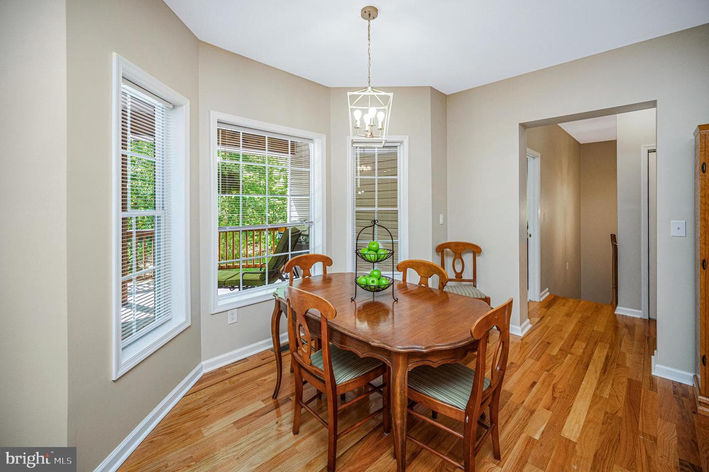 1803 Shenandoah Crossing Drive photo 25