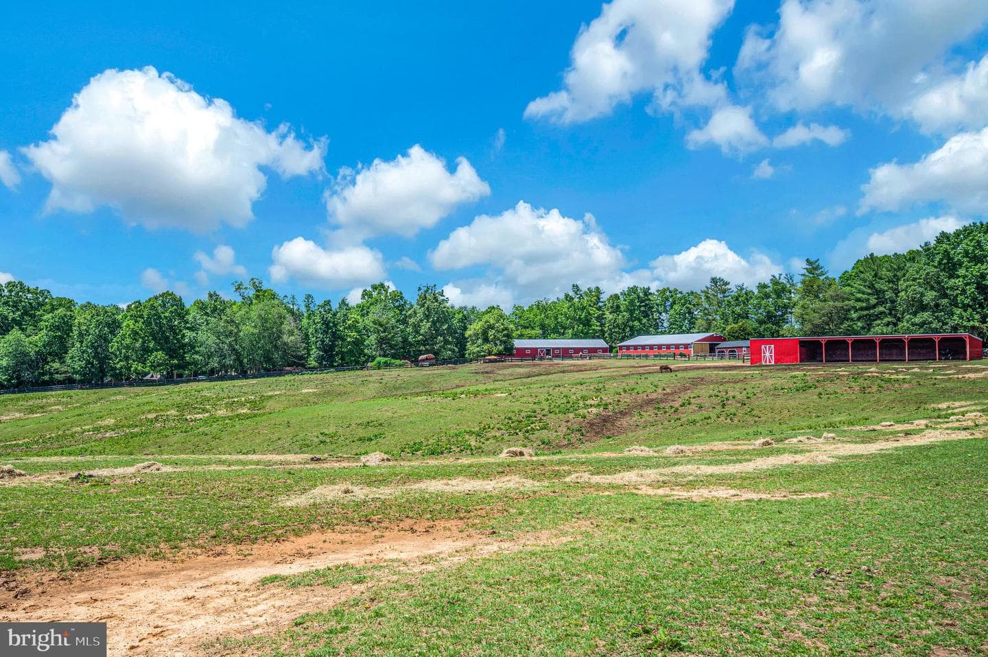 1803 Shenandoah Crossing Drive photo 50
