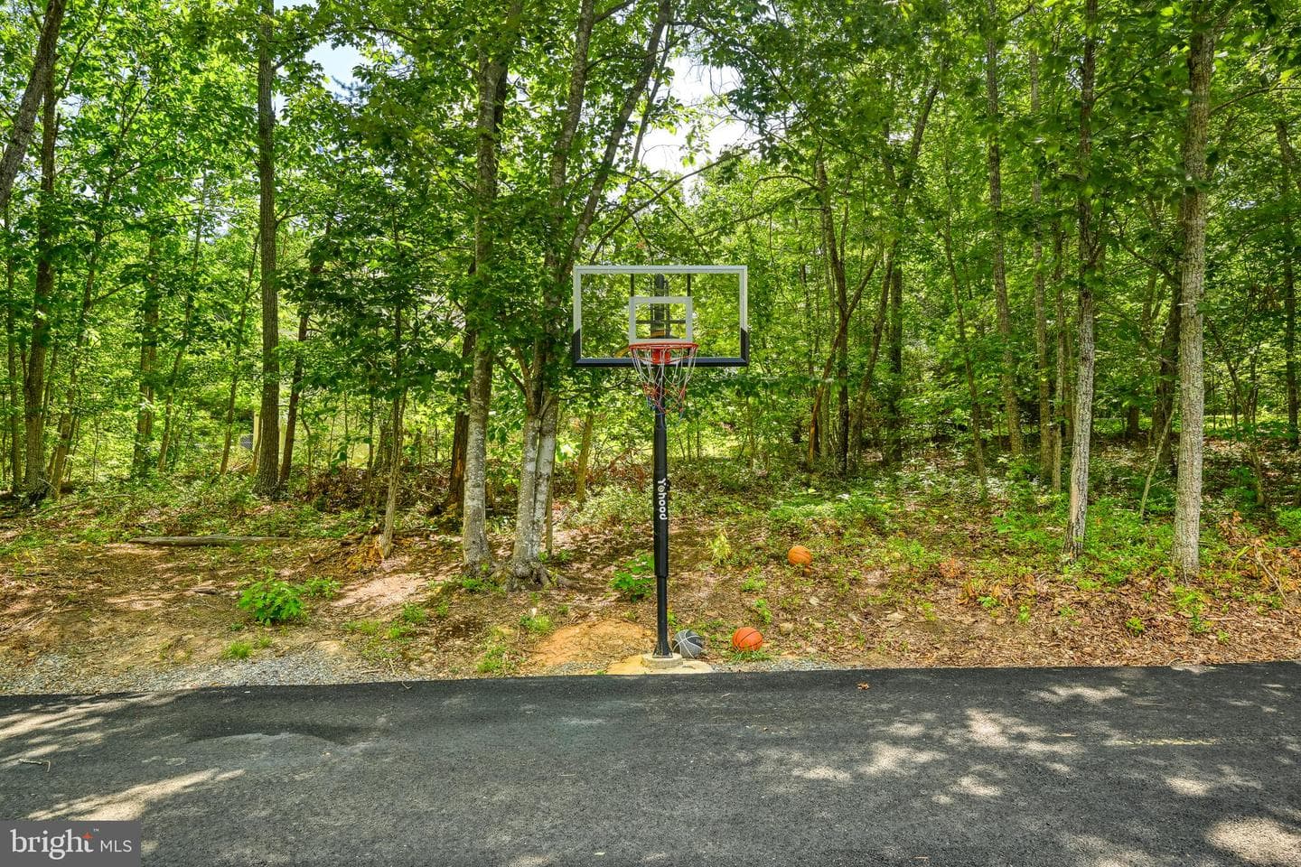 197 Shannon Glen Court photo 57