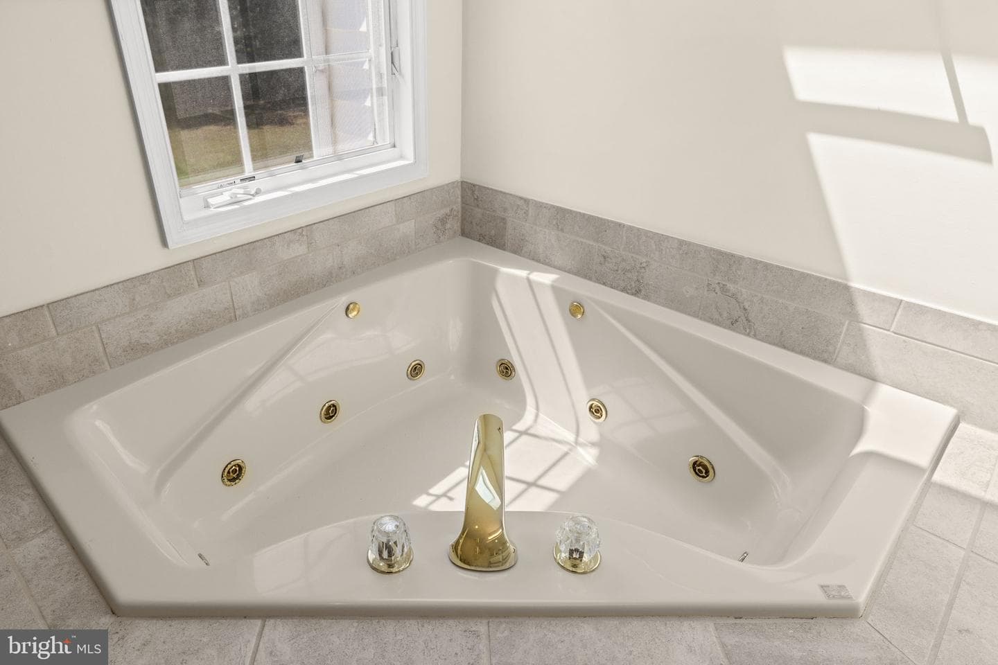 524 Blueberry Lane photo 38