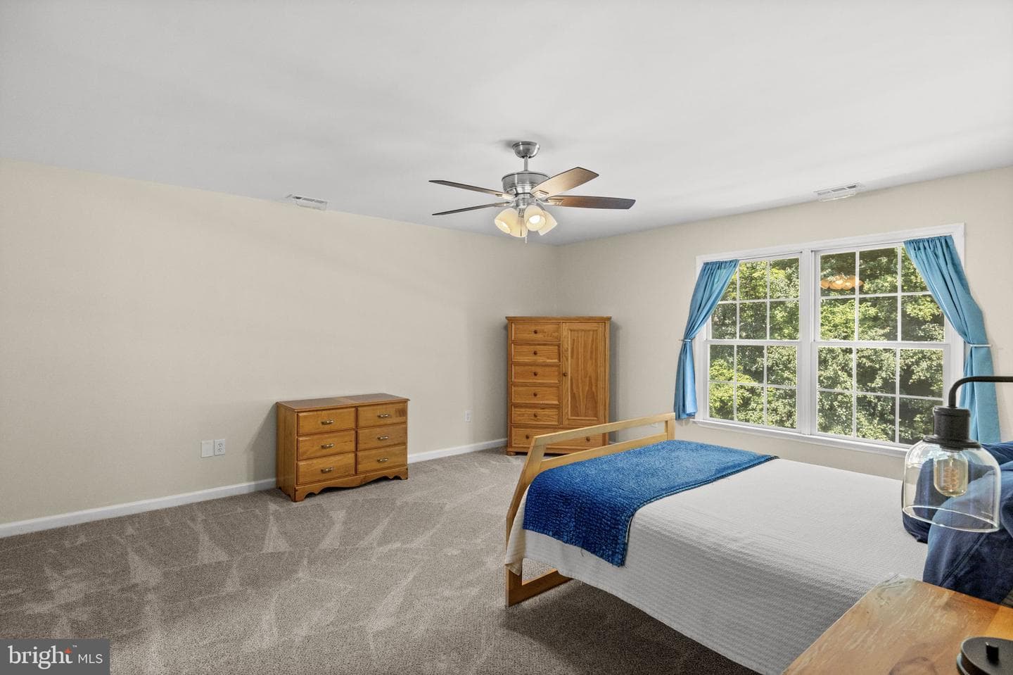 524 Blueberry Lane photo 44