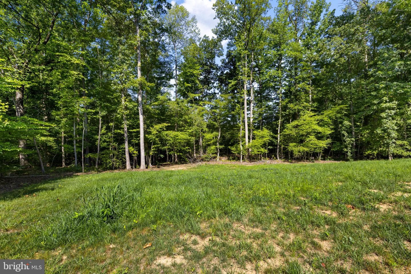 90 Holly Ct photo 65
