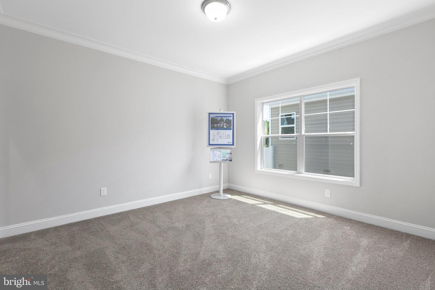 145 Moorefield Road photo 11