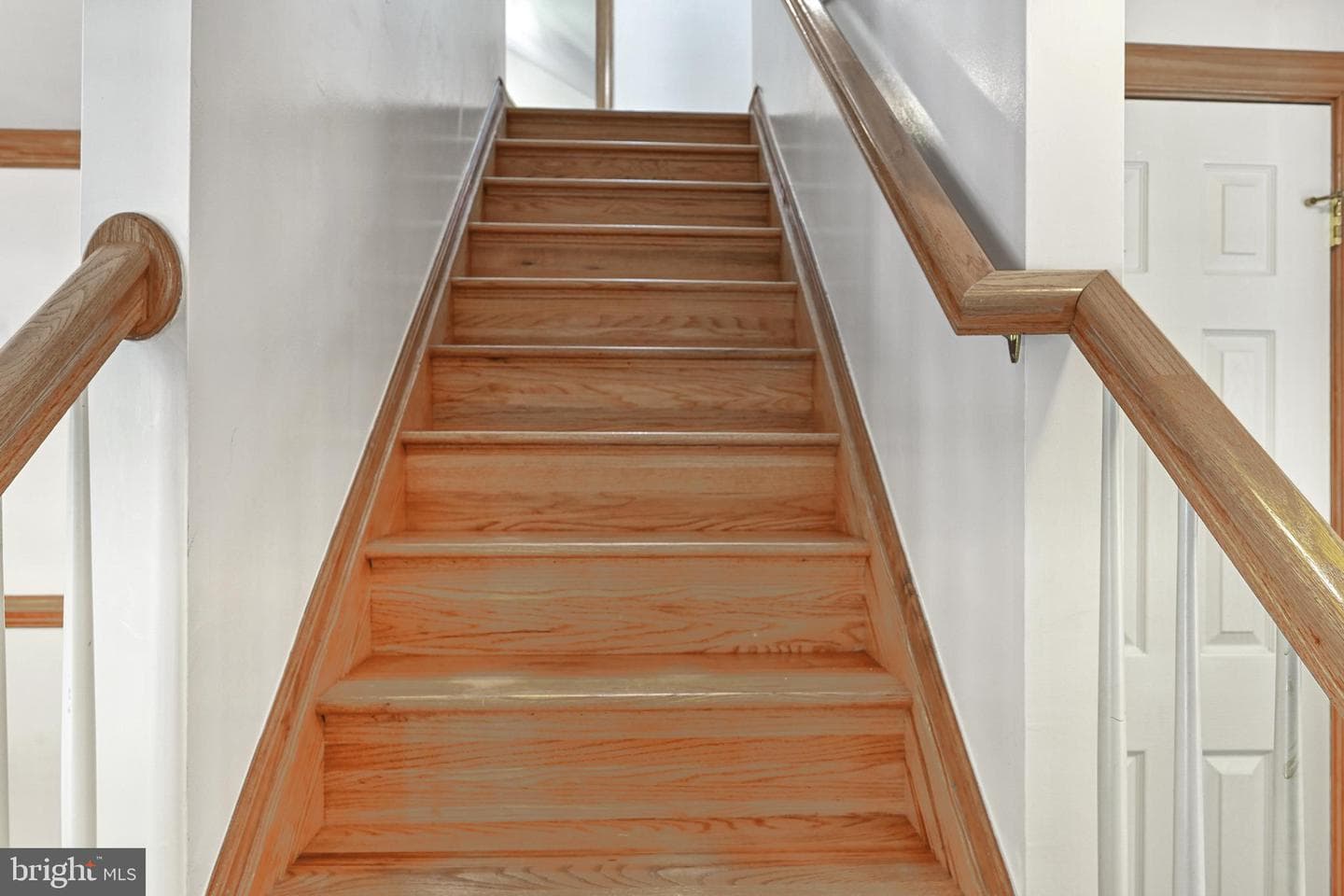 47 Elnor Road photo 18