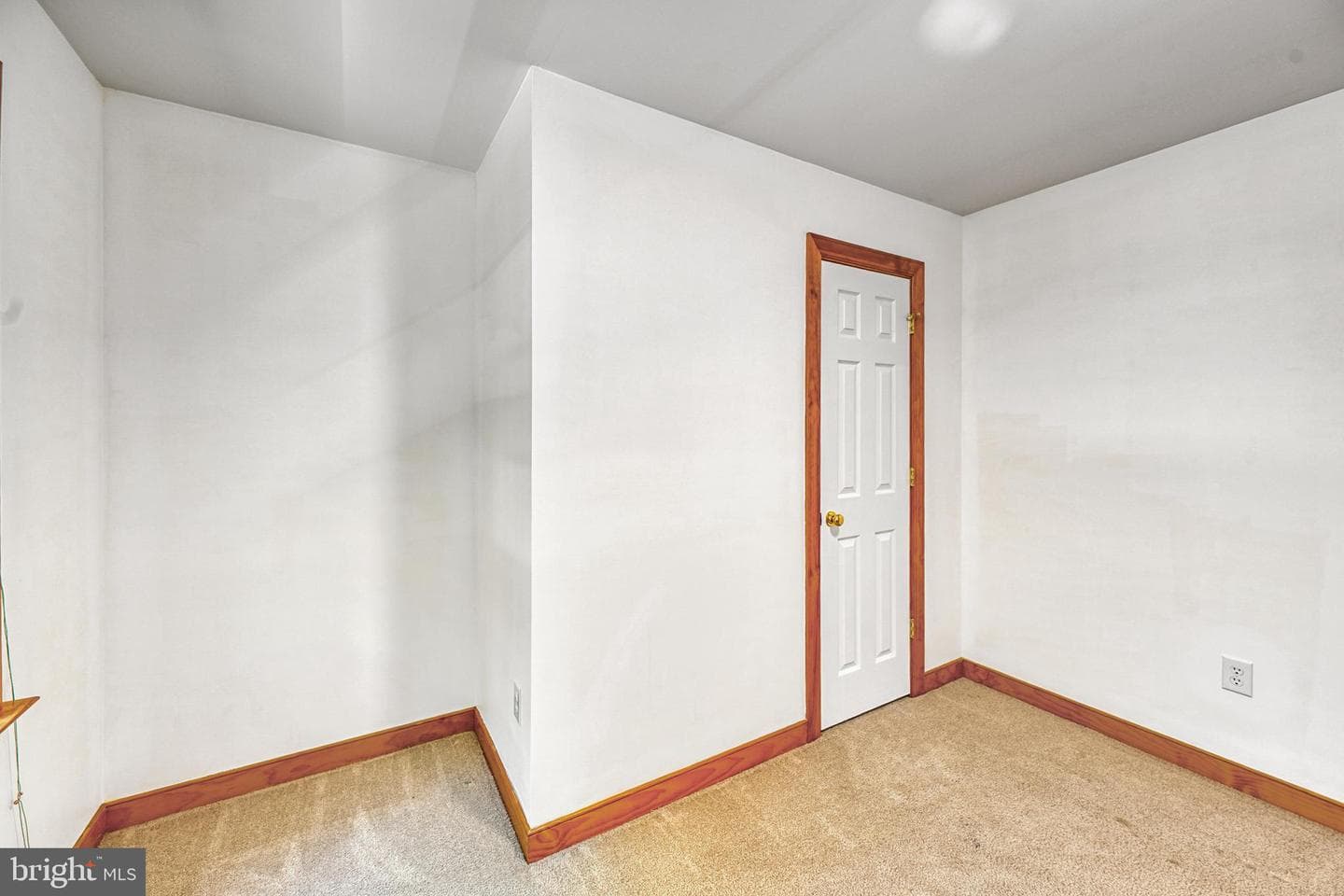 47 Elnor Road photo 29