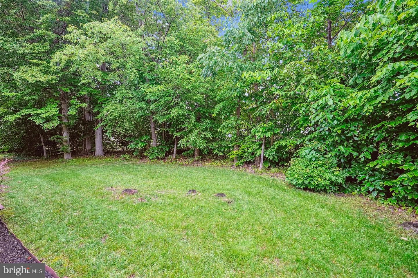 47666 Paulsen Square photo 3