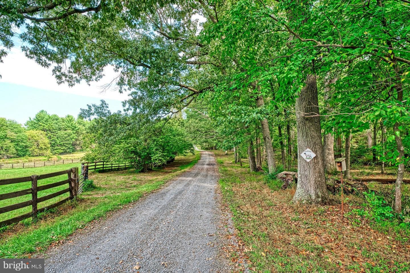 43470 Evans Pond Road photo 75
