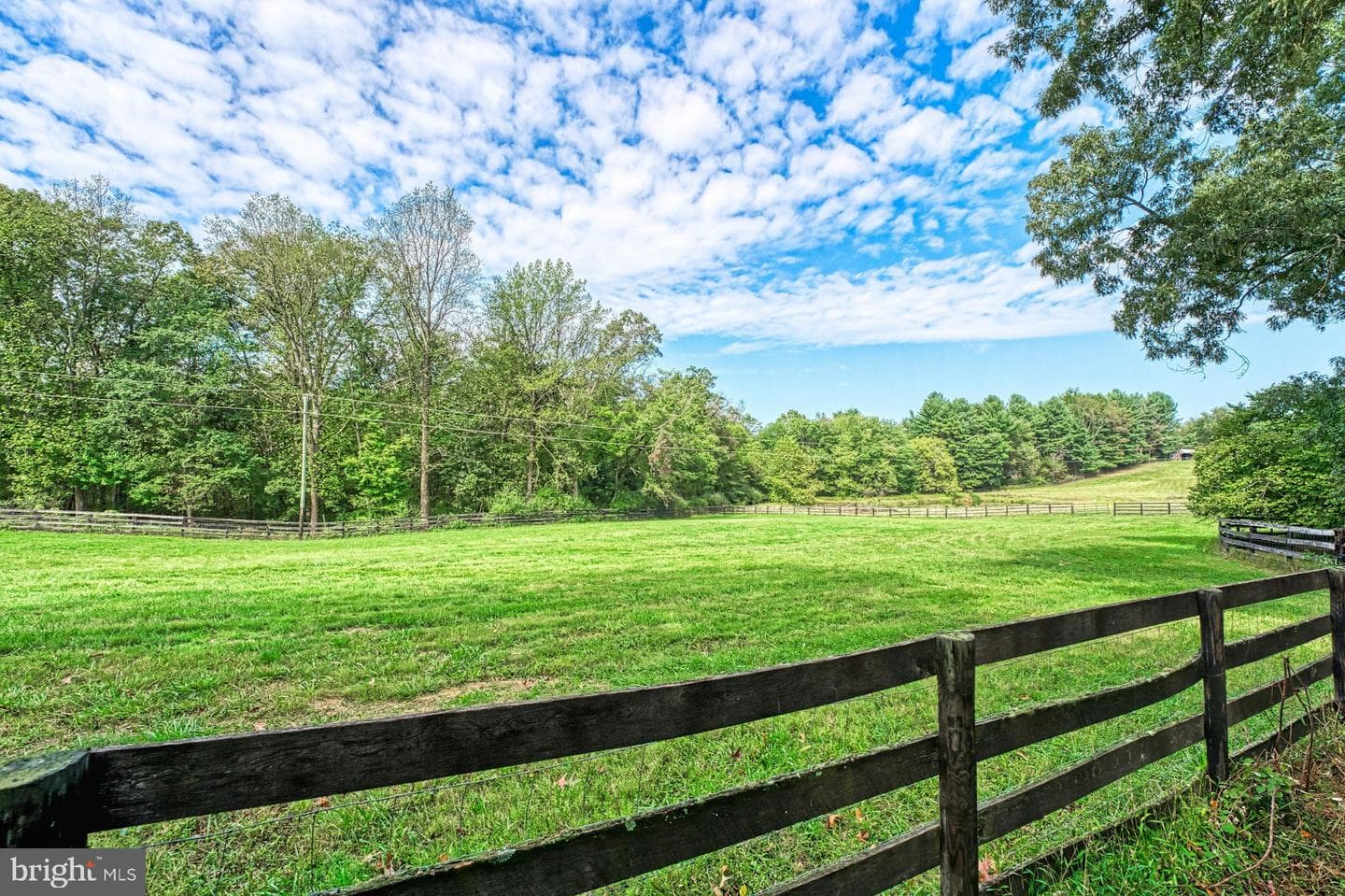 43470 Evans Pond Road photo 77
