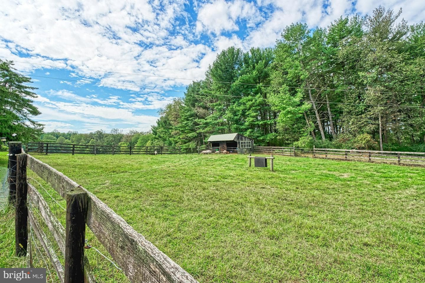 43470 Evans Pond Road photo 84