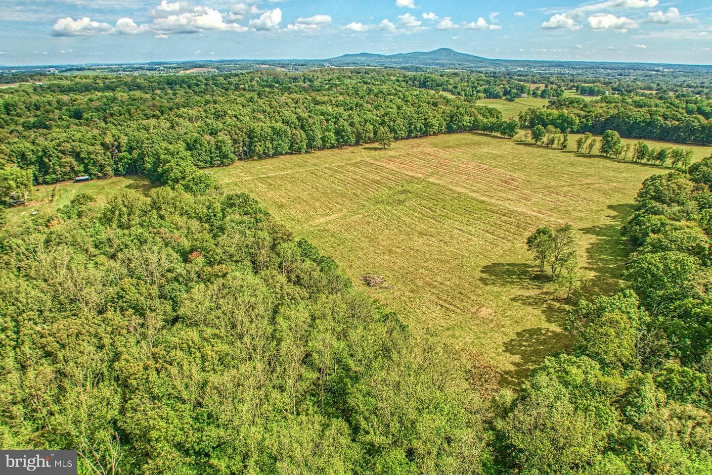 43470 Evans Pond Road photo 98