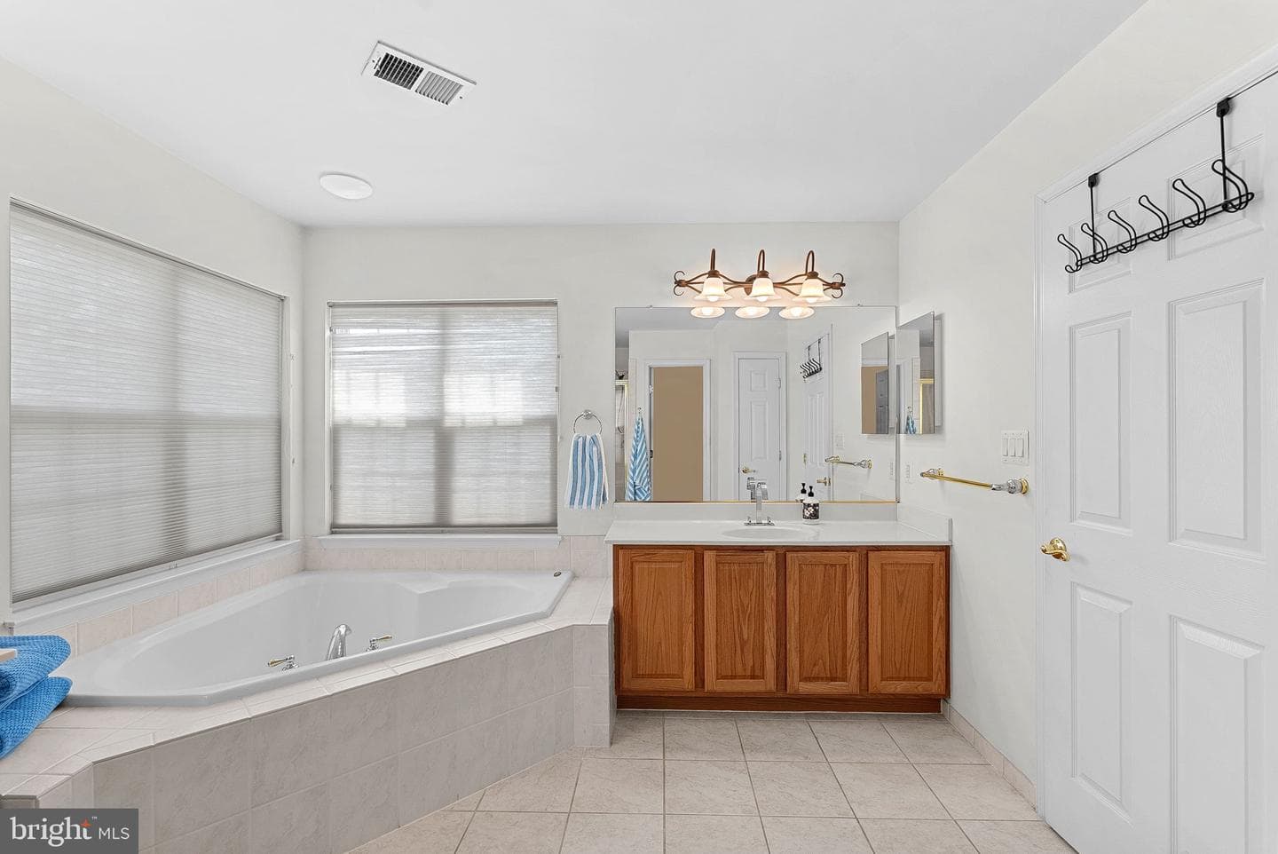 43294 Rachelle Ann Court photo 52