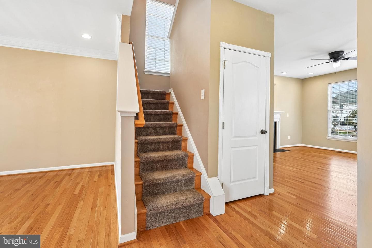 43110 Barons Street photo 28