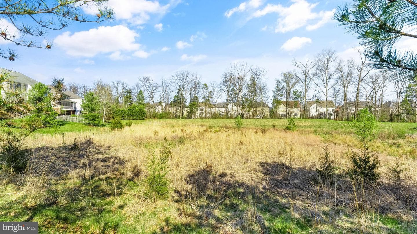 23248 Hickox Drive photo 75