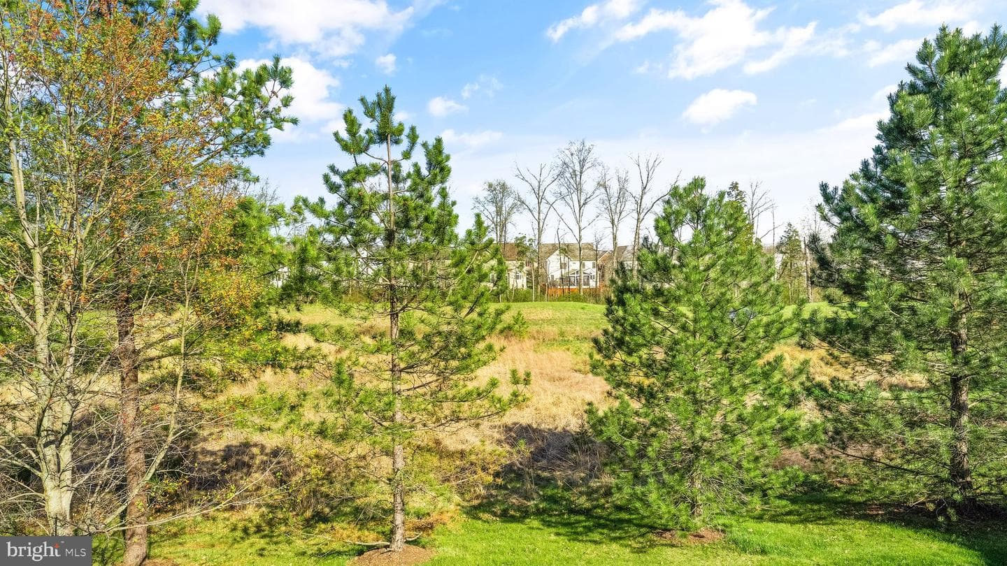 23248 Hickox Drive photo 76