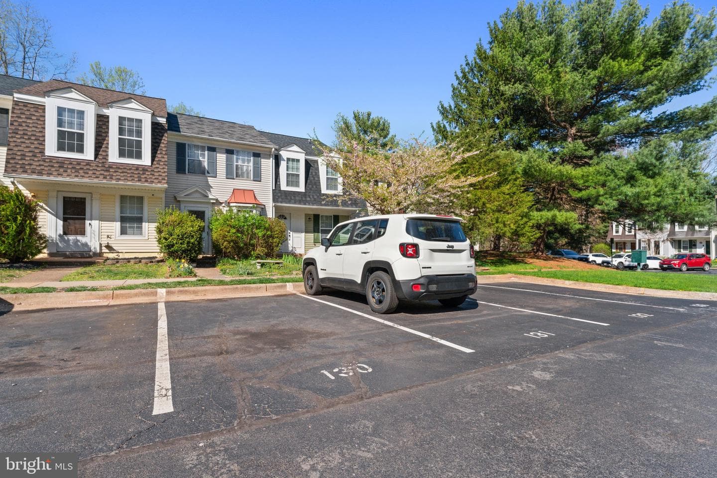 34 Palmer Court photo 25