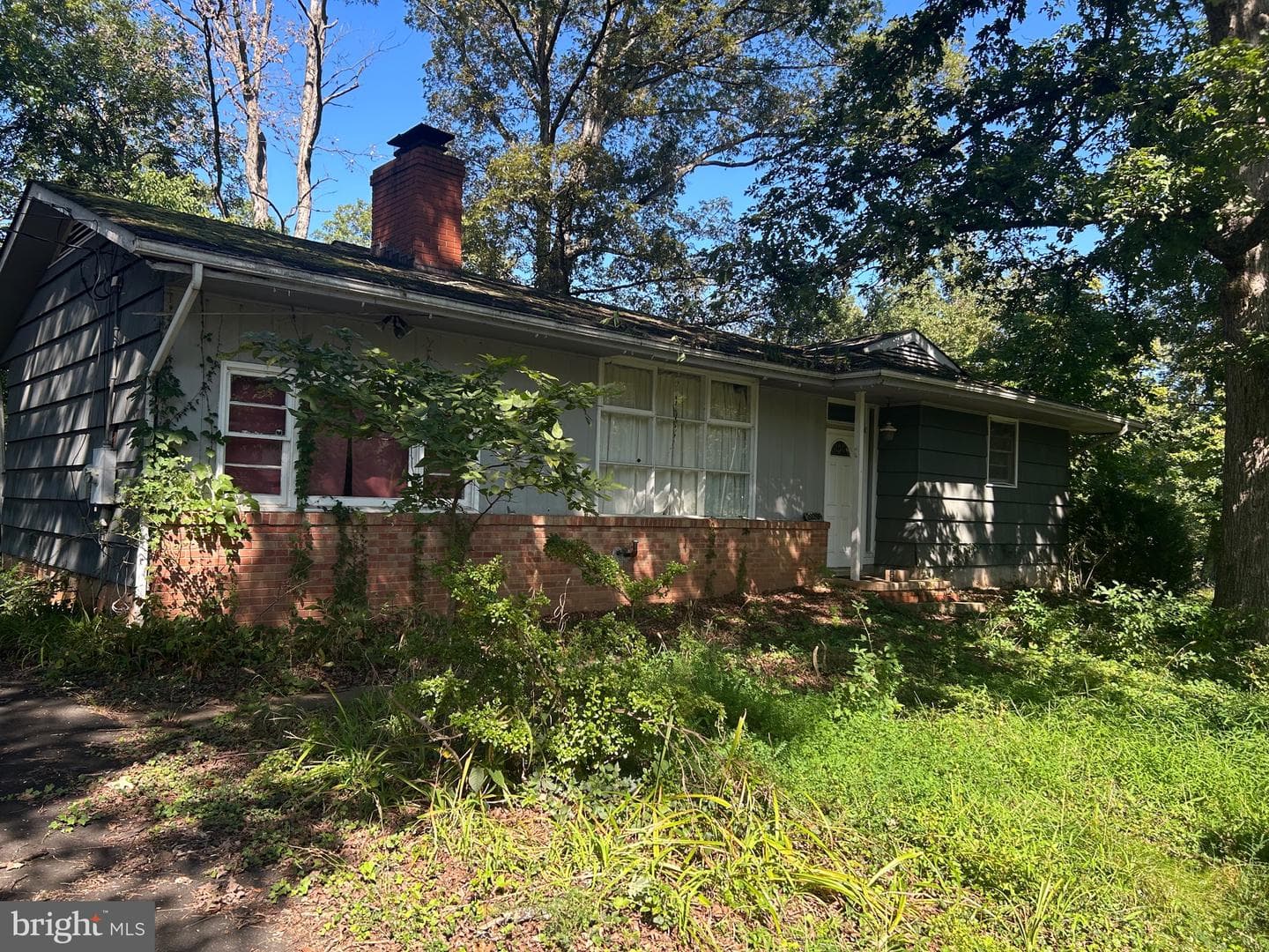 20209 Redrose Drive photo 12