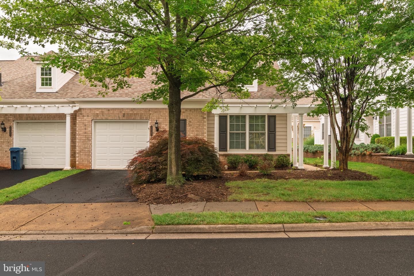 44397 Maltese Falcon Square photo 2