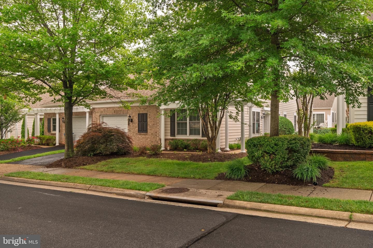 44397 Maltese Falcon Square photo 3