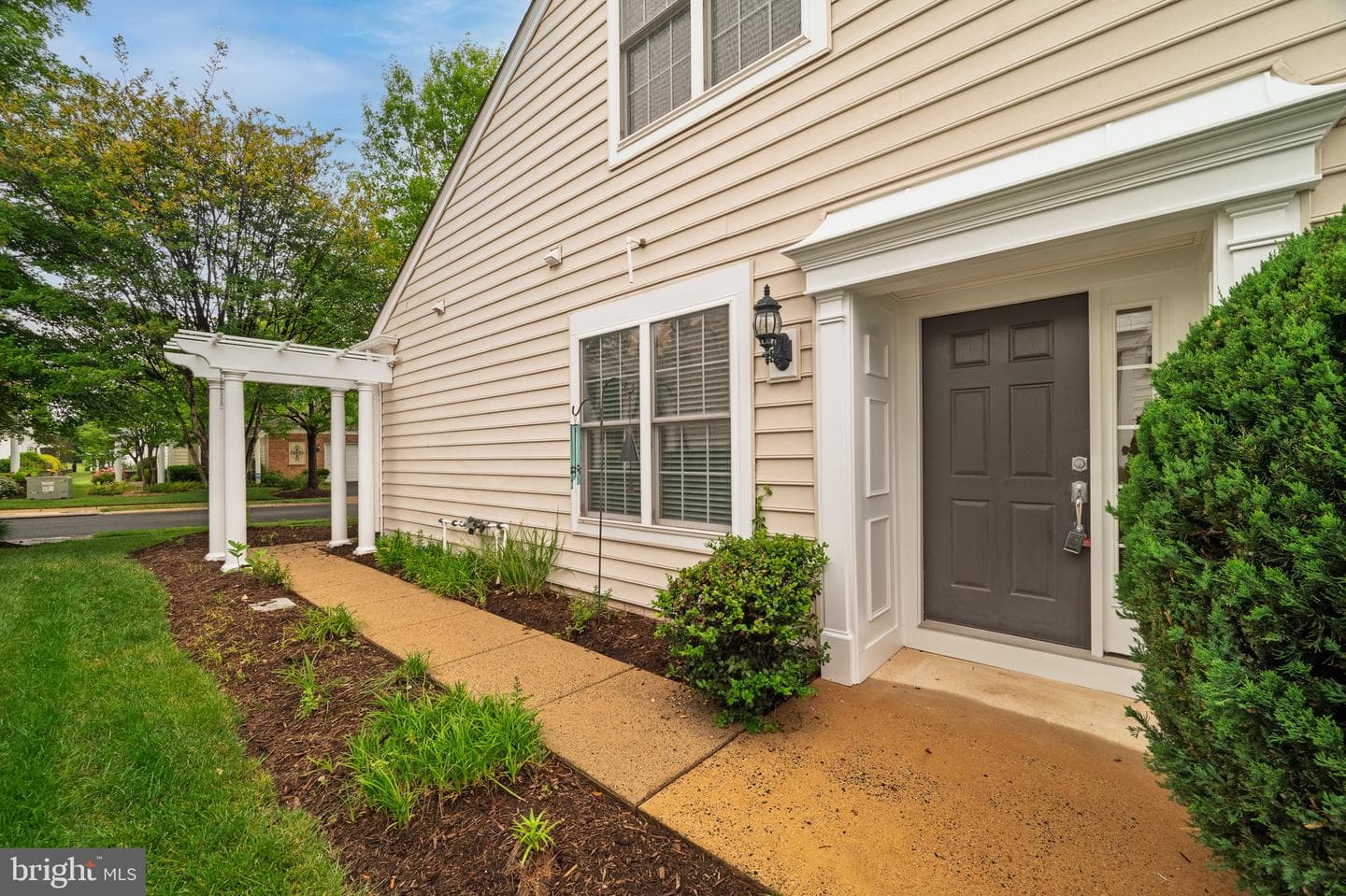 44397 Maltese Falcon Square photo 5