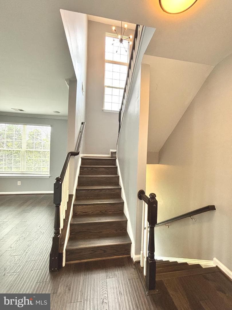 20365 Belmont Park Terrace #118 photo 10