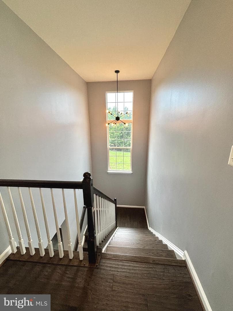 20365 Belmont Park Terrace #118 photo 35