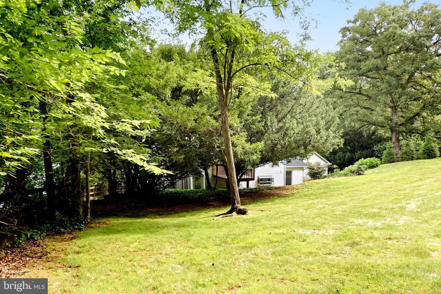 35739 Hayman Lane photo 44
