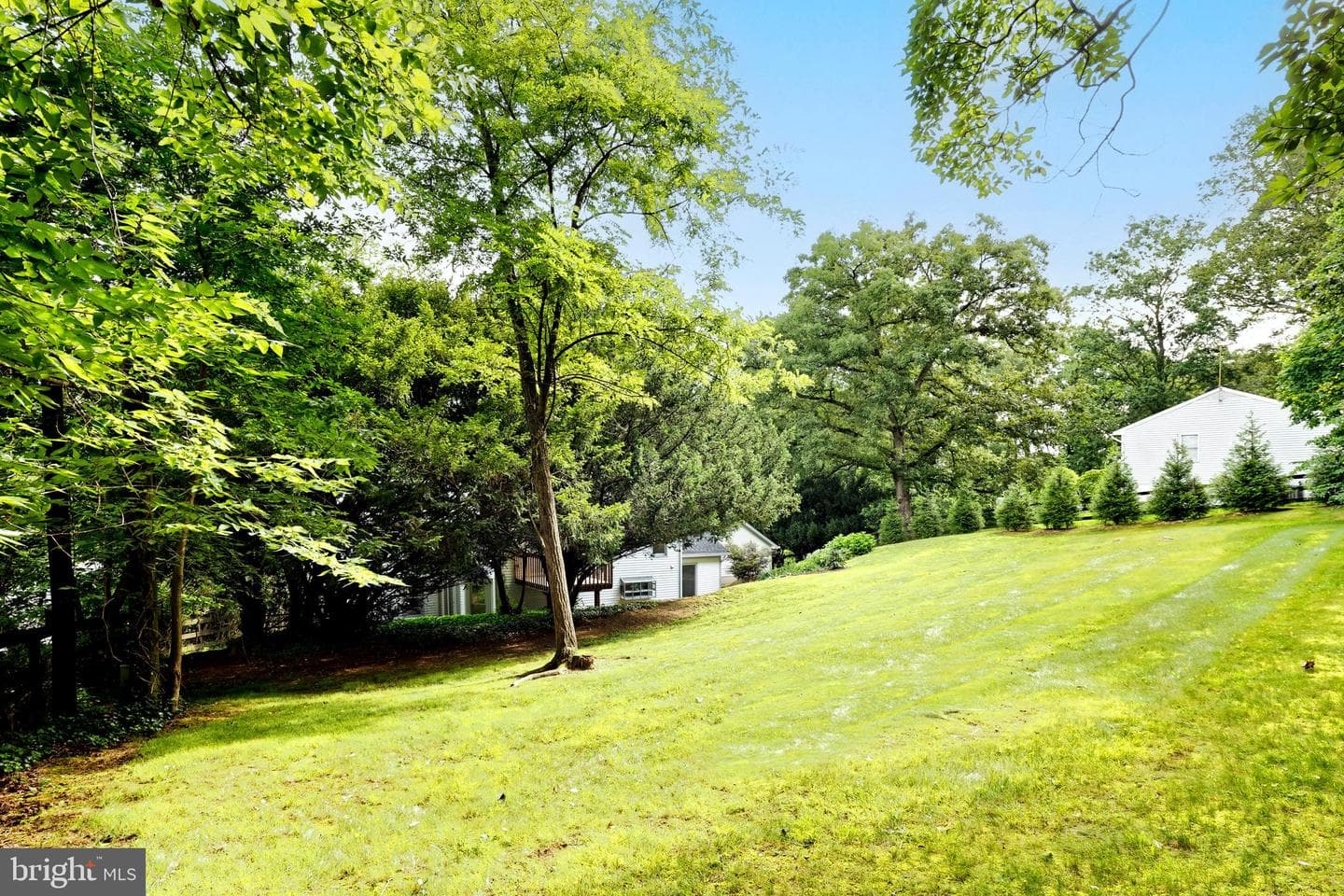 35739 Hayman Lane photo 45