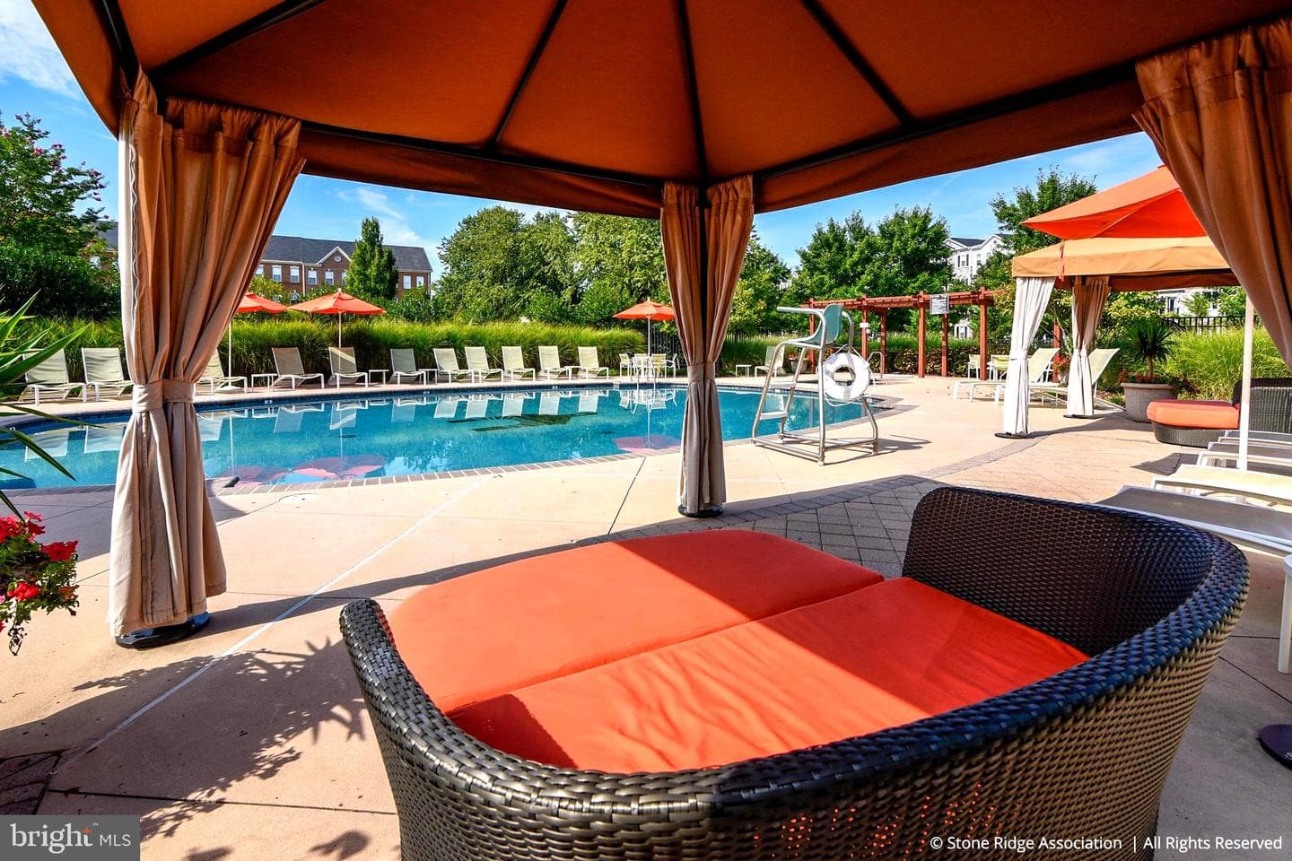24584 Rosebay Terrace photo 38