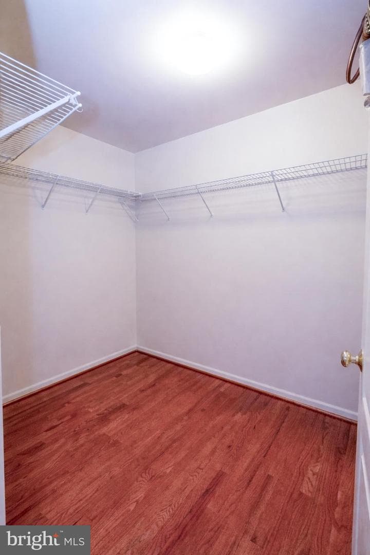 25957 Donovan Drive photo 41
