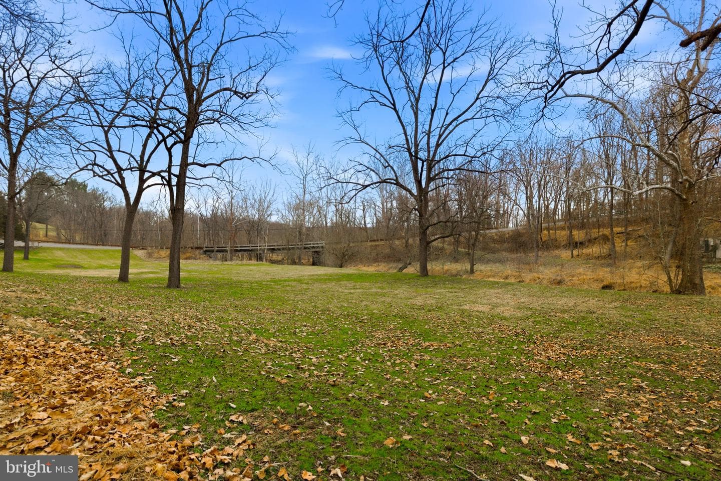 36155 Chamblin Mill Lane photo 28