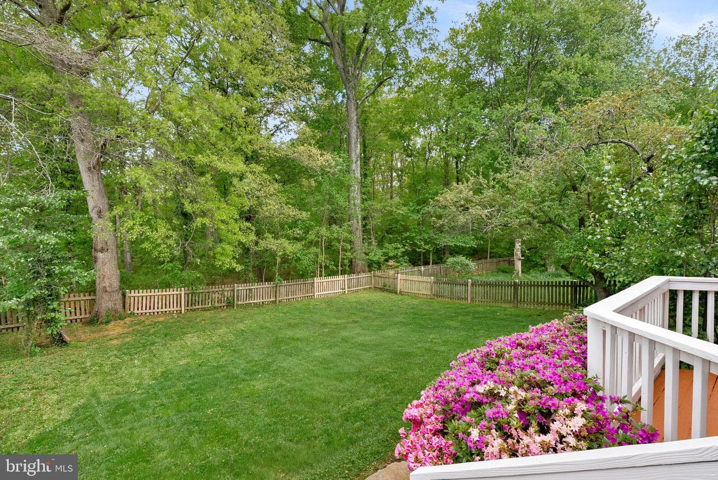 28 Bedford Drive photo 46