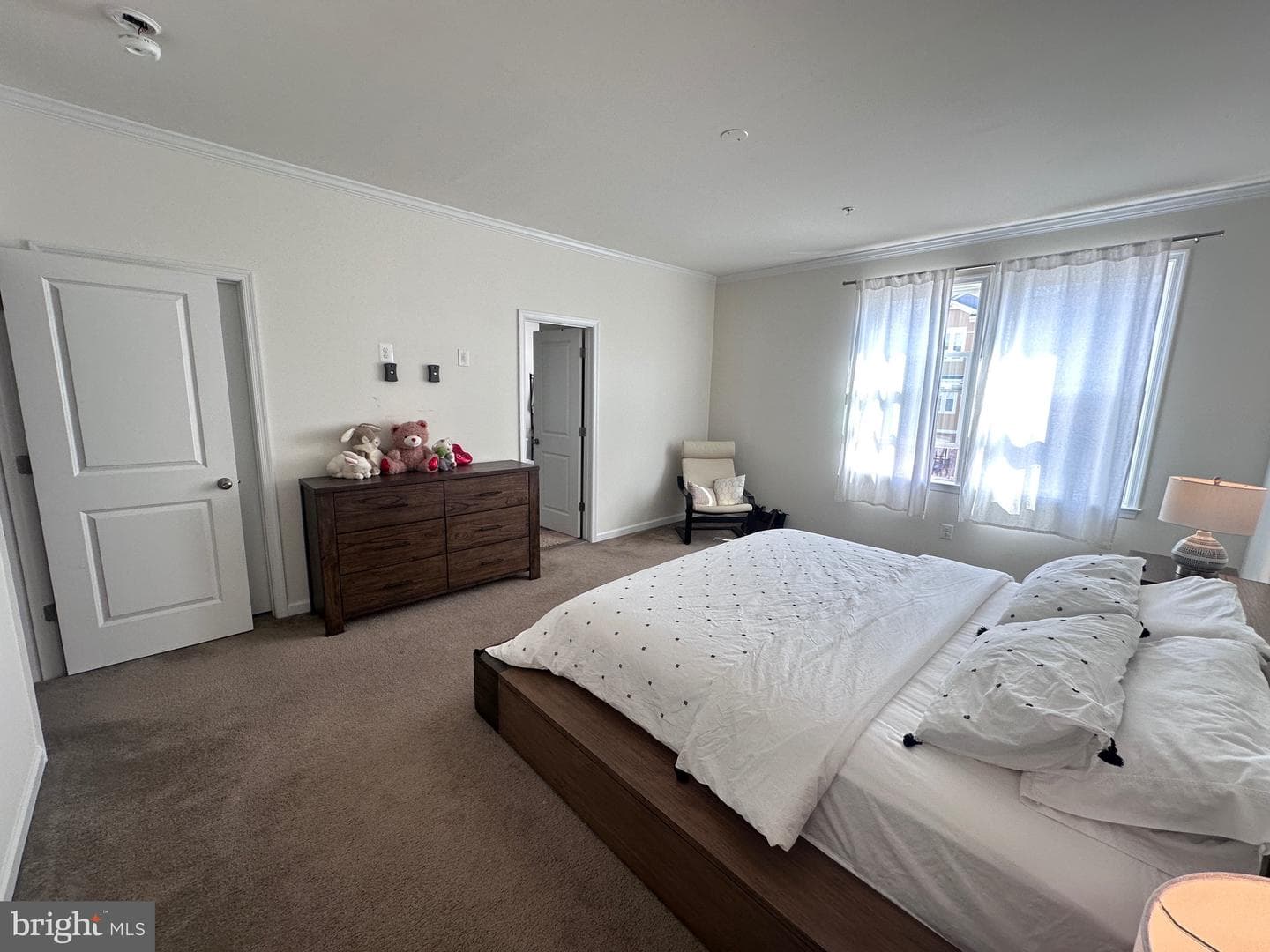 24485 Amherst Forest Terrace photo 19