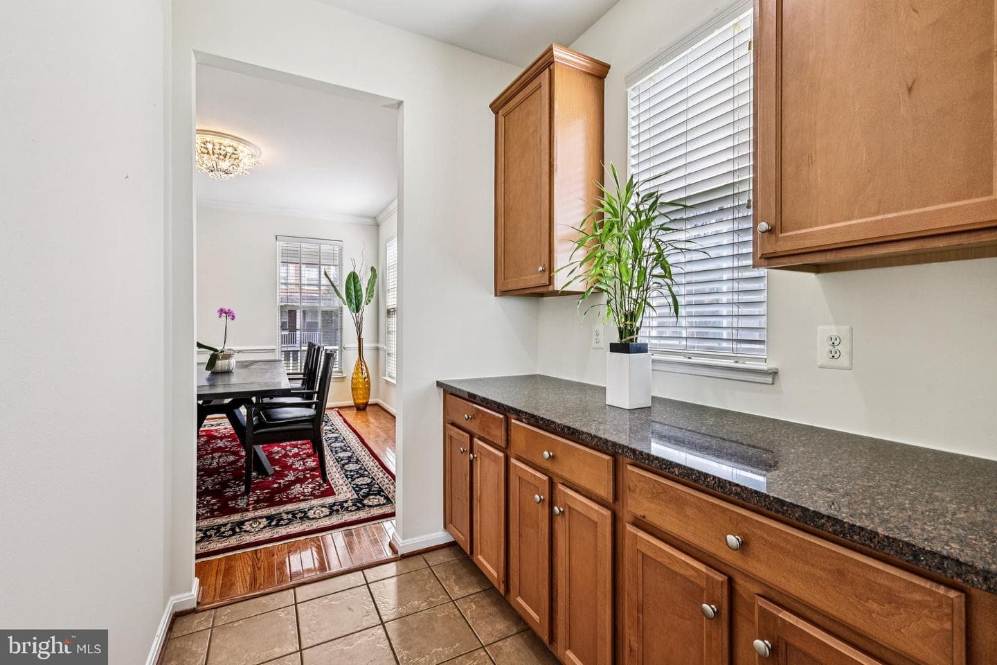 43169 Eleni Street photo 11