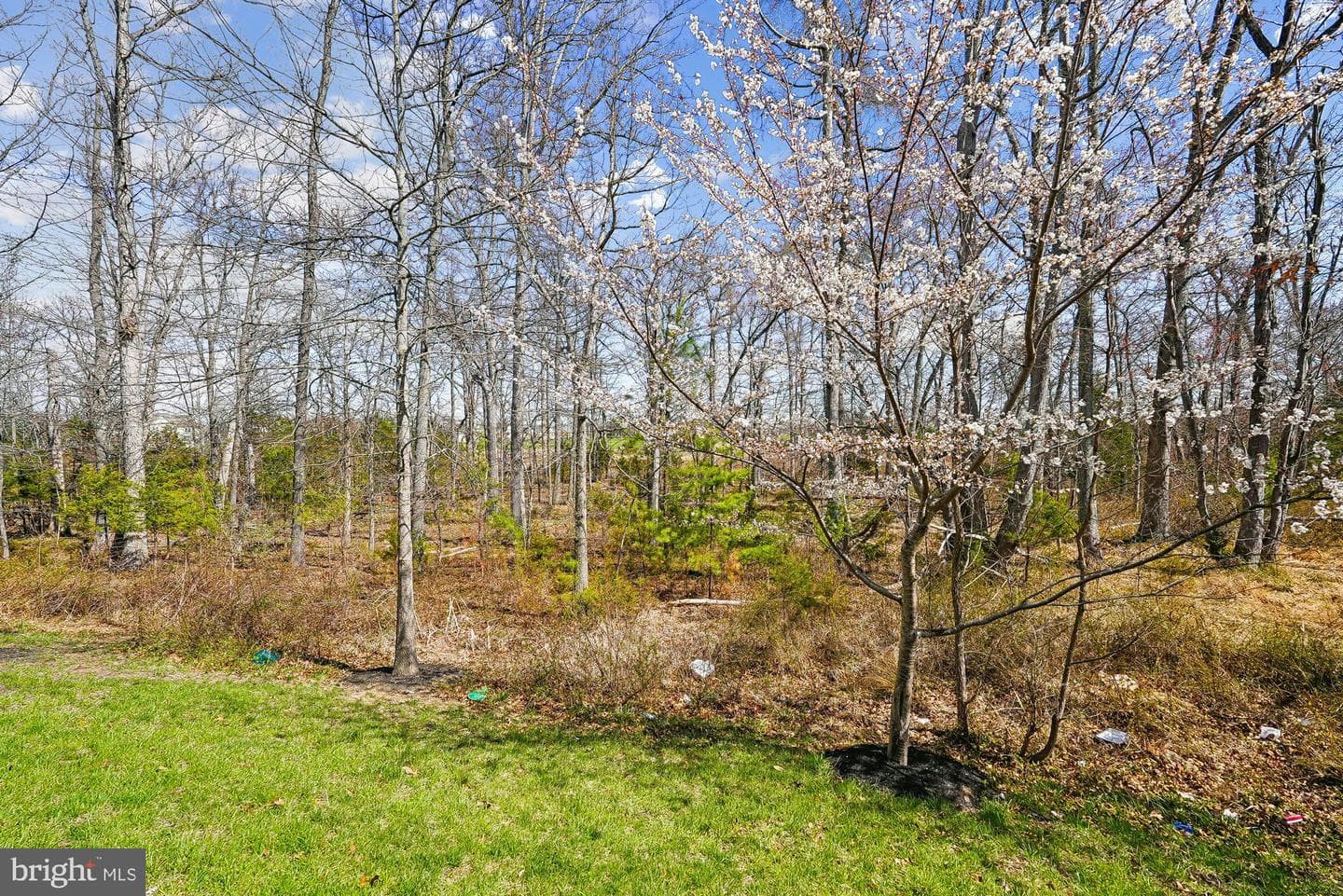 24878 Helms Terrace photo 13