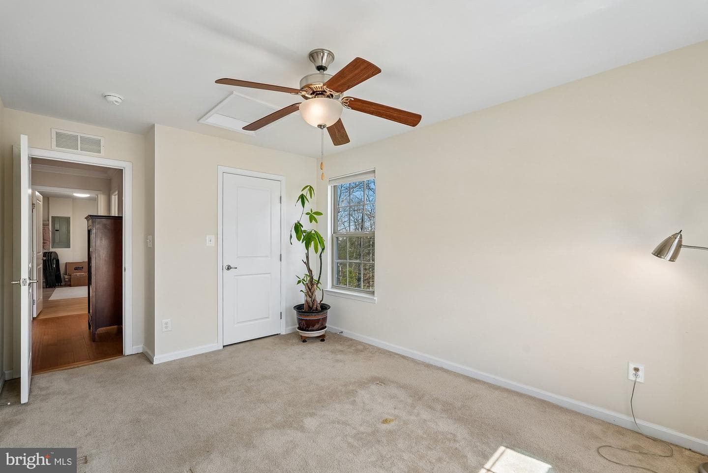 24878 Helms Terrace photo 45