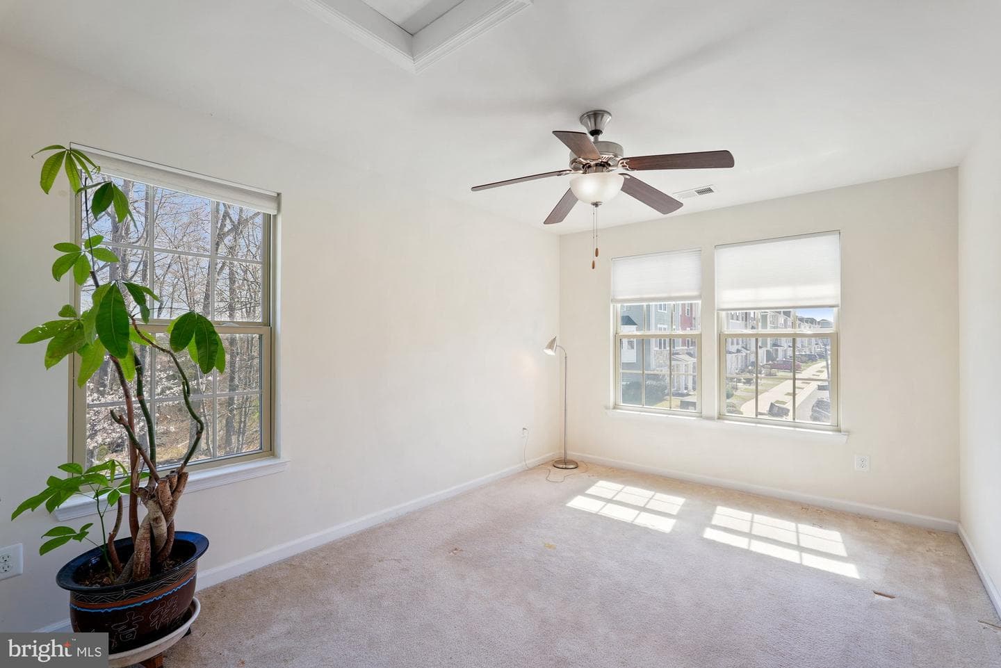 24878 Helms Terrace photo 46