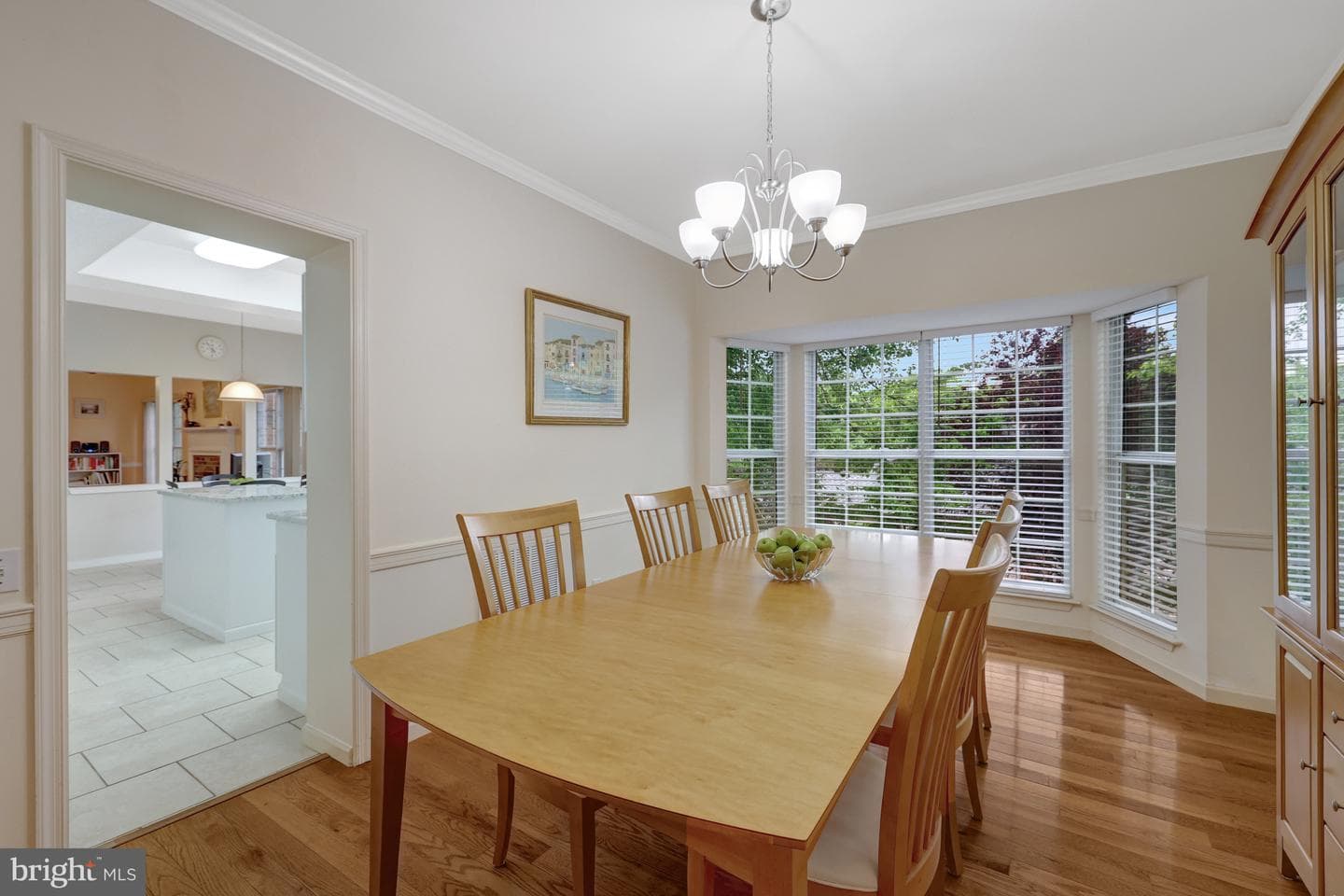 30125 Merchant Court photo 12