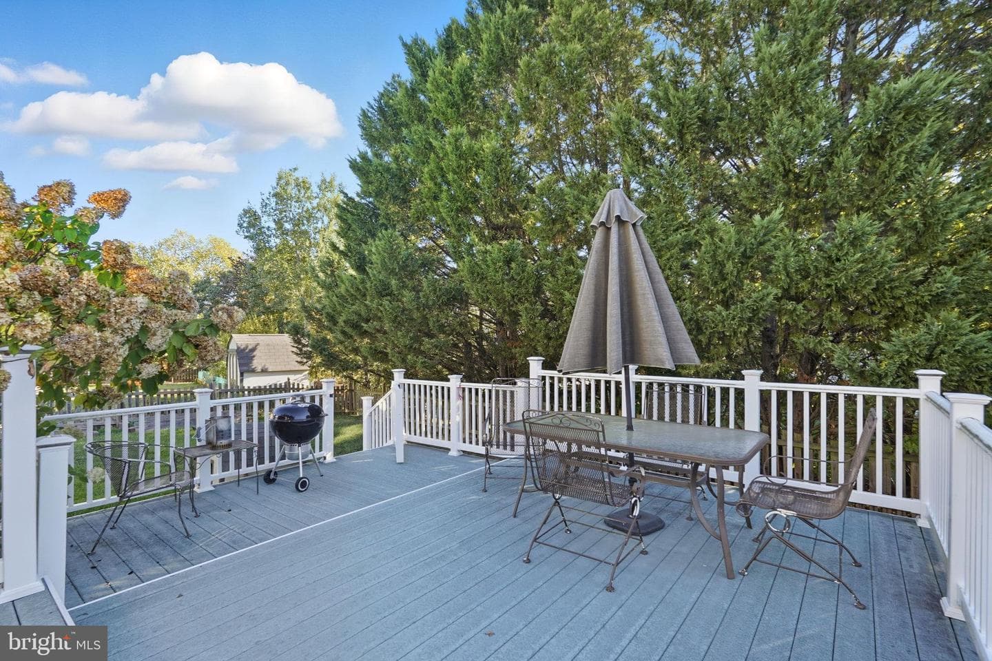 43949 Bruceton Mills Circle photo 35